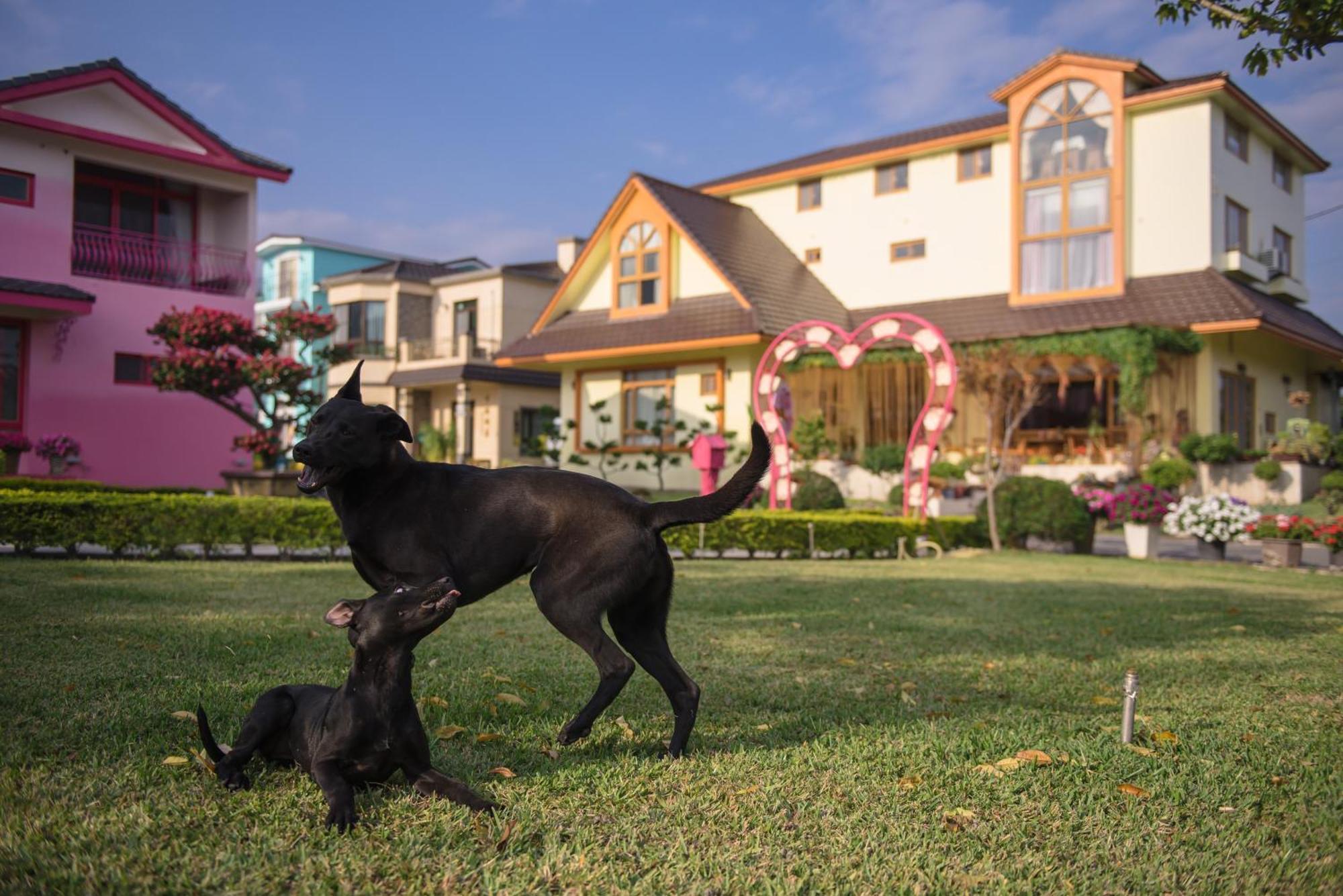 Xinfu Traveler Inn Taiping  Exteriér fotografie