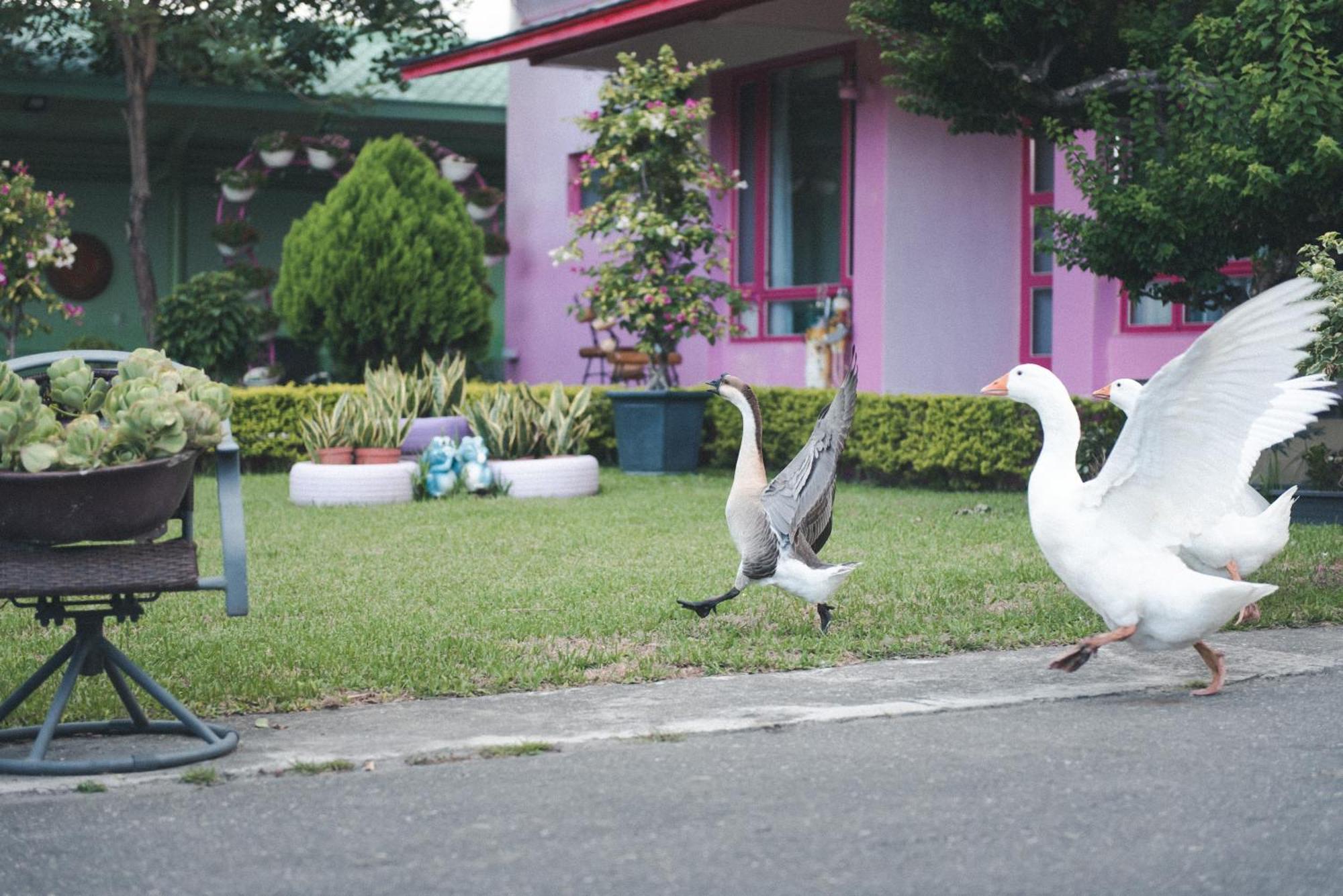 Xinfu Traveler Inn Taiping  Exteriér fotografie