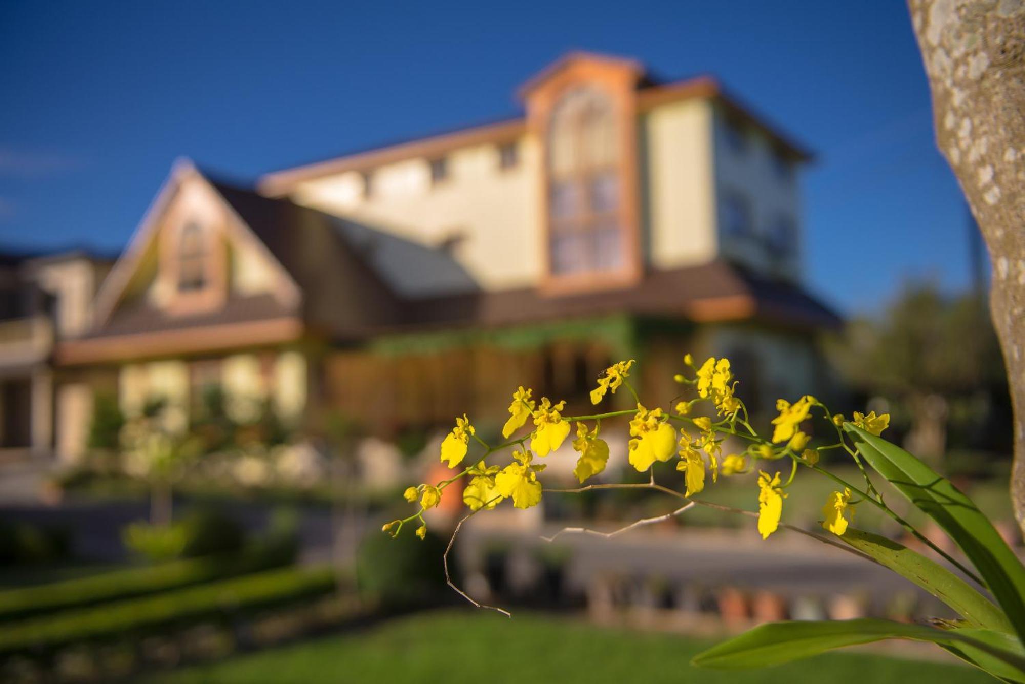 Xinfu Traveler Inn Taiping  Exteriér fotografie