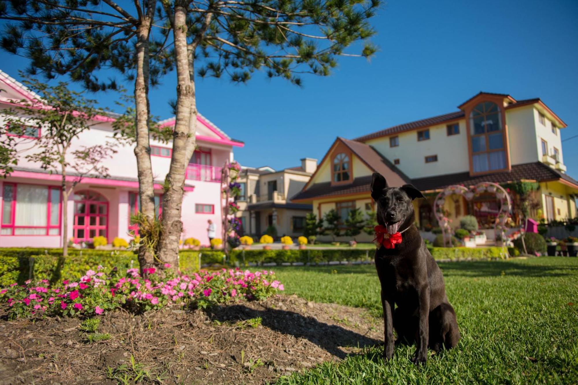 Xinfu Traveler Inn Taiping  Exteriér fotografie